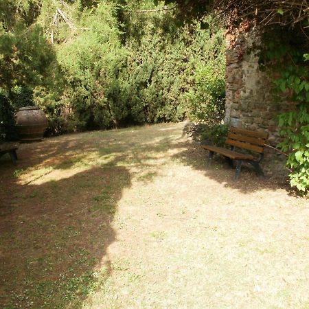 Agriturismo Il Palazzaccio Villa Galliano Exteriör bild