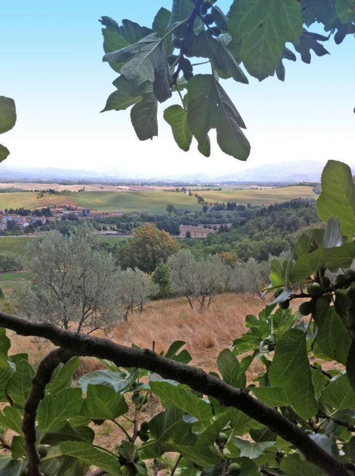 Agriturismo Il Palazzaccio Villa Galliano Exteriör bild